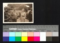 藏品(派對)的圖片