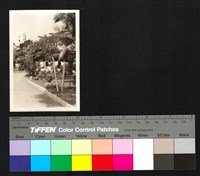 藏品(路邊)的圖片