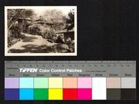 藏品(建築)的圖片