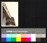 藏品(建築物)的圖片