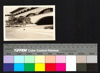 藏品(建築、男子)的圖片