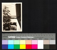 藏品(建築　走廊)的圖片