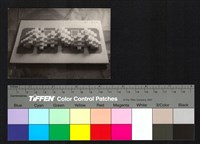 藏品(建築模型)的圖片