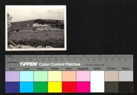 藏品(建築)的圖片