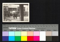 藏品(人群)的圖片