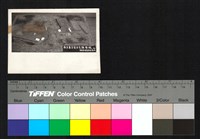 藏品(建築模型)的圖片