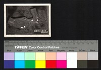 藏品(建築模型)的圖片