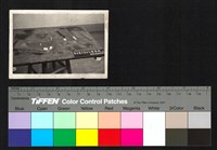 藏品(建築模型)的圖片