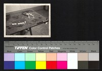 藏品(建築模型)的圖片