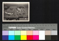 藏品(建築模型)的圖片