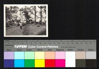 藏品(空地)的圖片