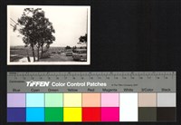 藏品(道路、車)的圖片