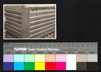 藏品(東京ガス)的圖片