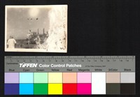 藏品(施工)的圖片