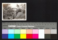 藏品(橋)的圖片