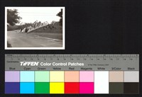 藏品(階梯)的圖片