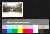 藏品(道路)的圖片