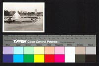 藏品(噴水池)的圖片