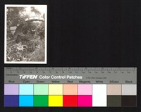 藏品(橋)的圖片