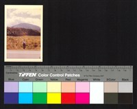 藏品(風景)的圖片