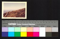 藏品(山上)的圖片