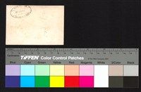 藏品(背面印章)的圖片