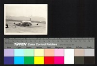 藏品(機場)的圖片