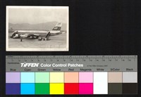 藏品(機場)的圖片