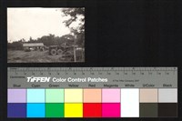 藏品(施工)的圖片