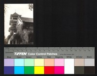 藏品(建築外觀)的圖片