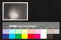 藏品(磨石子地板裂痕)的圖片