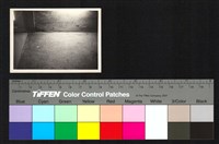 藏品(磨石子地板、牆面)的圖片