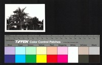 藏品(建築)的圖片