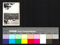 藏品(道路)的圖片