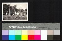 藏品(施工)的圖片