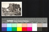 藏品(施工)的圖片