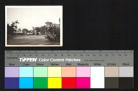 藏品(施工)的圖片