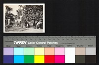 藏品(施工)的圖片