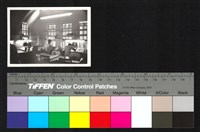 藏品(製圖側拍)的圖片