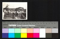 藏品(施工)的圖片