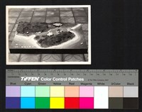 藏品(模型)的圖片