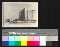 藏品(透視圖)的圖片