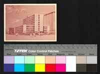 藏品(透視圖)的圖片