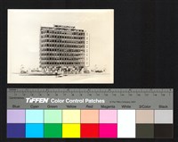 藏品(透視圖)的圖片