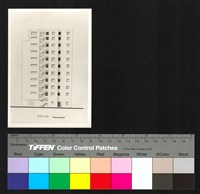 藏品(東側立面圖)的圖片