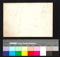 藏品(背面題字)的圖片