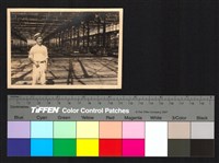 藏品(桁架結構建築、個人照)的圖片