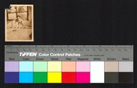 藏品(個人照)的圖片