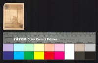 藏品(人物側拍)的圖片