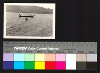 藏品(船)的圖片